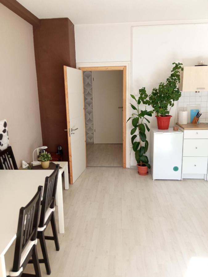 Free Parking, Balcony, Near To City Park Budapeste Exterior foto
