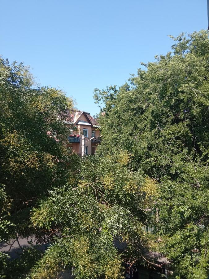 Free Parking, Balcony, Near To City Park Budapeste Exterior foto
