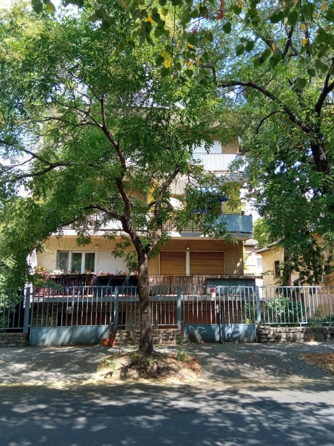 Free Parking, Balcony, Near To City Park Budapeste Exterior foto