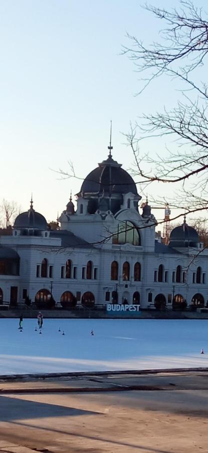 Free Parking, Balcony, Near To City Park Budapeste Exterior foto